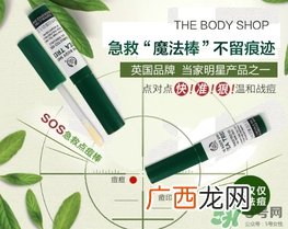 the body shop茶树急救棒怎么用？美体小铺茶树祛痘急救棒用法