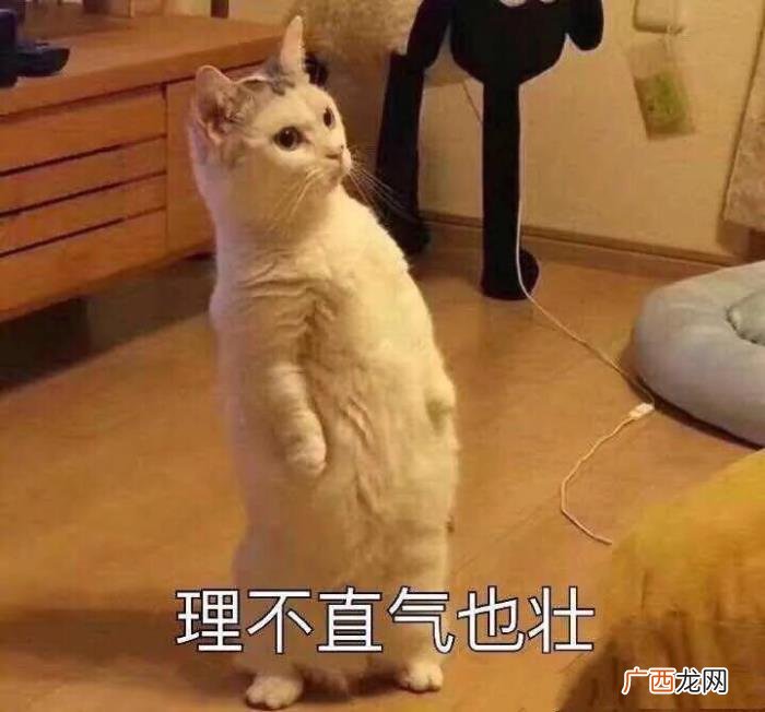 大学生千万别在图书馆搭讪女生 搭讪认识女孩子靠谱吗