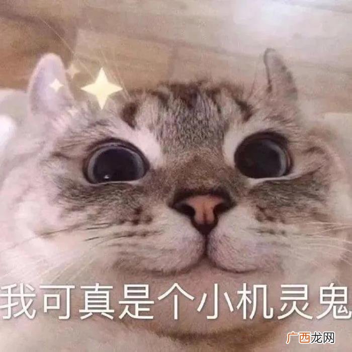 大学生千万别在图书馆搭讪女生 搭讪认识女孩子靠谱吗