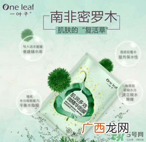 一叶子是哪个国家的？一叶子面膜是哪个国家的？