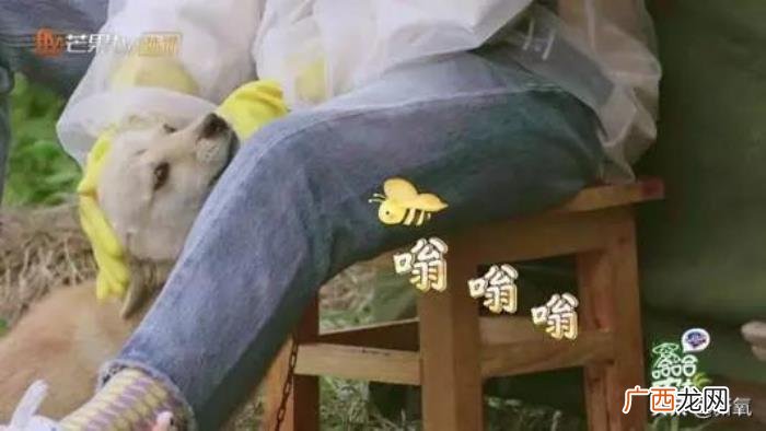王源暗恋谁，交罚款被拍的王源又被爆暗恋欧阳娜娜