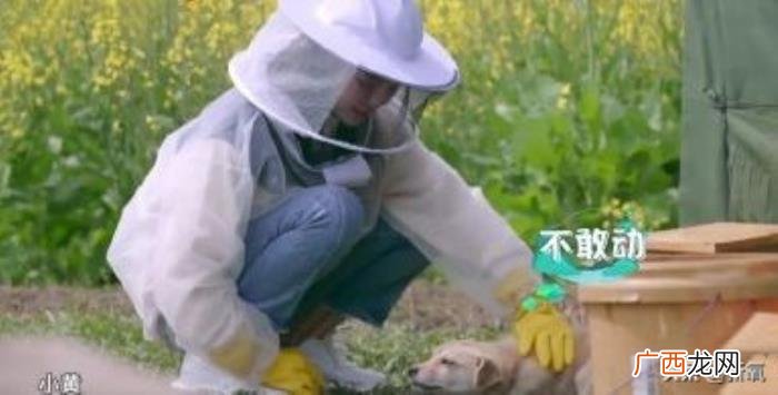 王源暗恋谁，交罚款被拍的王源又被爆暗恋欧阳娜娜