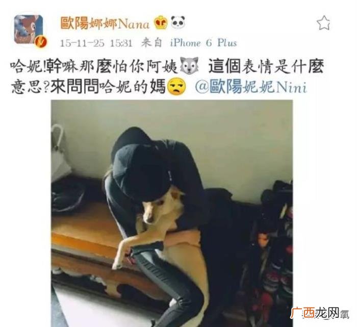 王源暗恋谁，交罚款被拍的王源又被爆暗恋欧阳娜娜