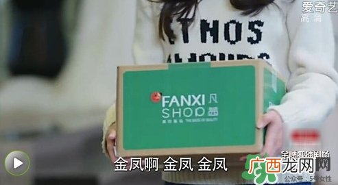 凡茜是什么牌子？凡茜是哪个国家的品牌什么档次？