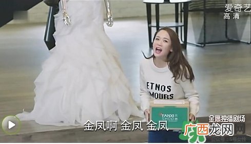 凡茜是什么牌子？凡茜是哪个国家的品牌什么档次？