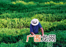 欧舒丹哪个系列产品最值得购买