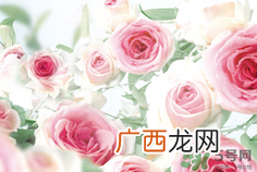 欧舒丹哪个系列产品最值得购买