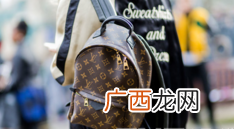 女双肩包什么牌子的好?女双肩包哪个牌子好看?