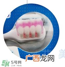 狮王牙刷怎么辨别真假？狮王牙刷真假对比