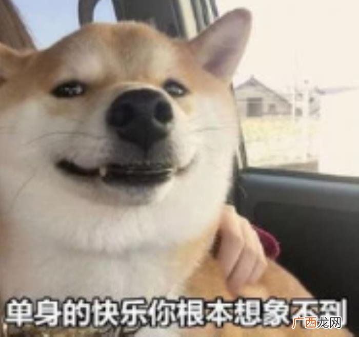 辛巴出轨谁，主播辛巴遭白富美前女友爆料疑似出轨