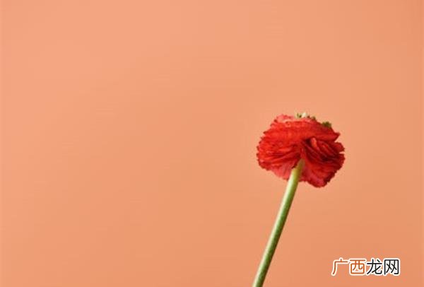 爱而不得的婚外情该怎么办，面对爱而不得的人