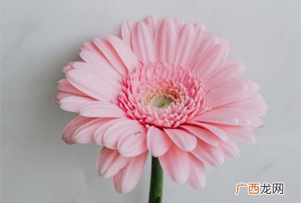 爱而不得的婚外情该怎么办，面对爱而不得的人