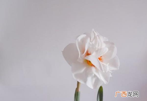 爱而不得的婚外情该怎么办，面对爱而不得的人