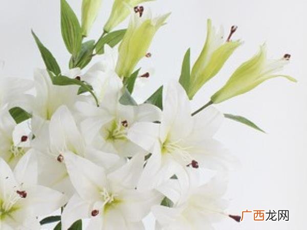 爱你老公句子，愿你来世拥有一个爱你入骨的老公