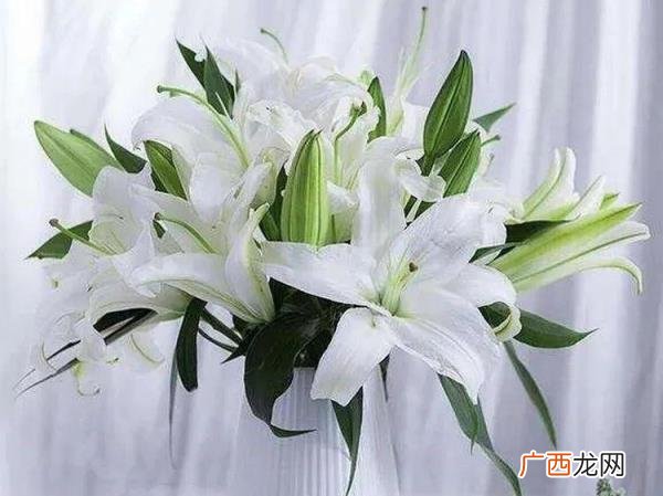 爱你老公句子，愿你来世拥有一个爱你入骨的老公