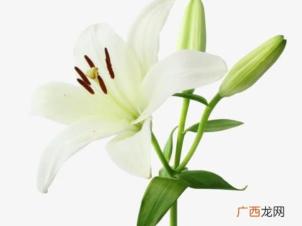 爱你老公句子，愿你来世拥有一个爱你入骨的老公