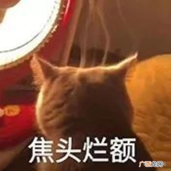 乔欣的眼睛，网友diss乔欣眼睛无神运势不好