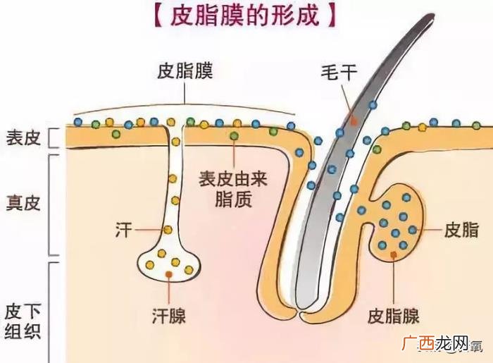 乔欣的眼睛，网友diss乔欣眼睛无神运势不好