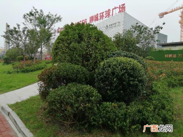 爱情中可以一味忍让吗，一味忍让的婚姻能长久吗