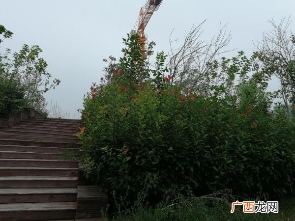 爱情中可以一味忍让吗，一味忍让的婚姻能长久吗
