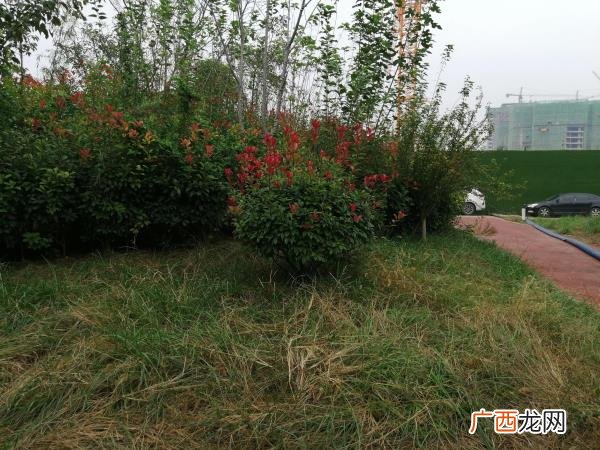 爱情中可以一味忍让吗，一味忍让的婚姻能长久吗