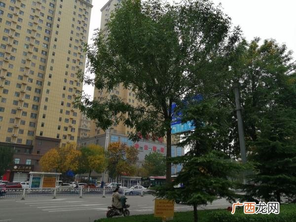 爱情中可以一味忍让吗，一味忍让的婚姻能长久吗