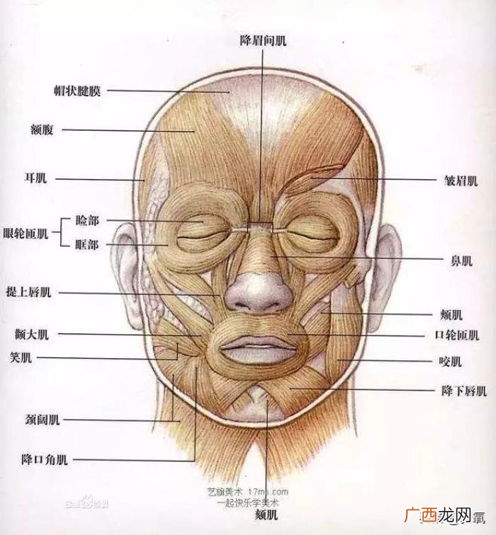 吴倩黄子韬,揭杨幂发际线、戳吴倩额头的黄子韬