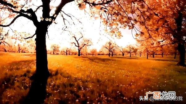 爱上小三很痛苦怎么办，内心很痛苦我该怎么办