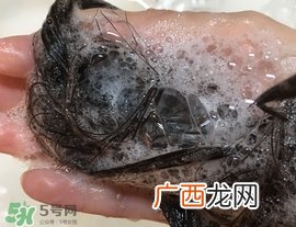 所望洗发水多少钱?所望洗发水价格