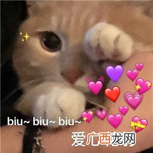 可爱的撩妹表情包，撩动她的少女心