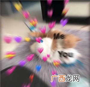 可爱的撩妹表情包，撩动她的少女心
