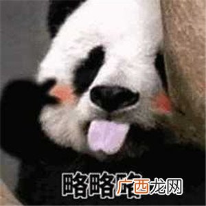 可爱的撩妹表情包，撩动她的少女心
