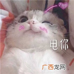 可爱的撩妹表情包，撩动她的少女心