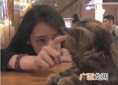 喜欢猫的女生什么性格？怎么追喜欢猫的女生