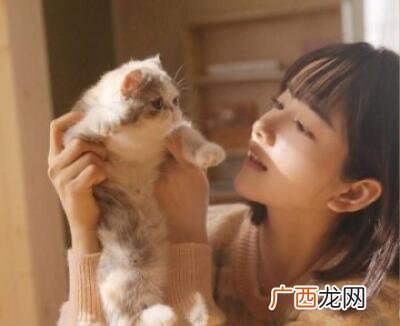 喜欢猫的女生什么性格？怎么追喜欢猫的女生
