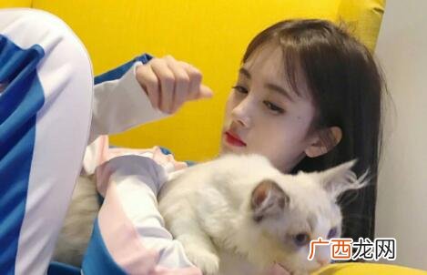 喜欢猫的女生什么性格？怎么追喜欢猫的女生