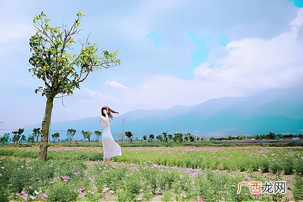 婚姻中如何相处的书，婚姻相处的最高情商
