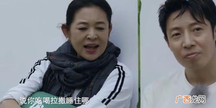 撒贝宁被怼，倪萍专治撒贝宁凡尔赛小撒被怼得噎住毫无反击余地