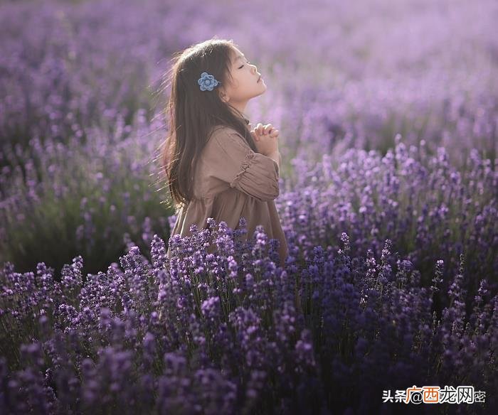 旅拍摄影师,月薪2万多的旅拍摄影师怎样工作的