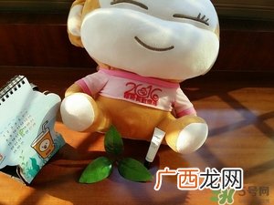 茱莉蔻玫瑰面膜怎么用？jurlique茱莉蔻玫瑰面膜使用方法