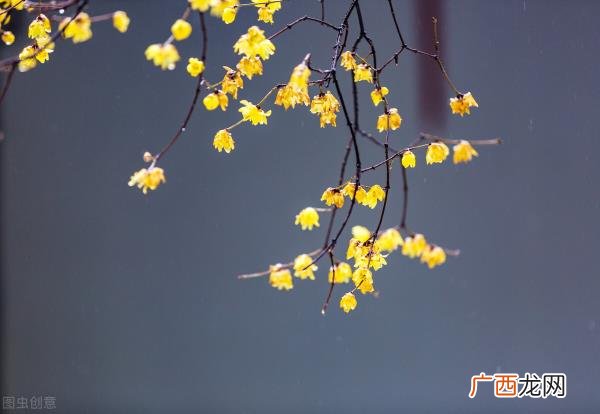 知道自己的男人出轨了怎么办，发现老公出轨了怎么办