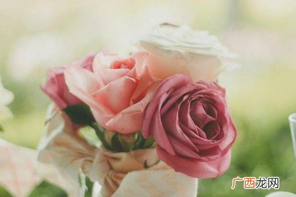 离婚后老公天天要复婚，离婚后老公回来求复婚