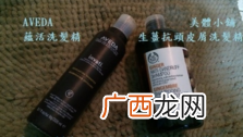 the body shop洗发水怎么样_美体小铺洗发水好吗