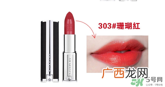 纪梵希小羊皮303是什么颜色？纪梵希小羊皮303试色