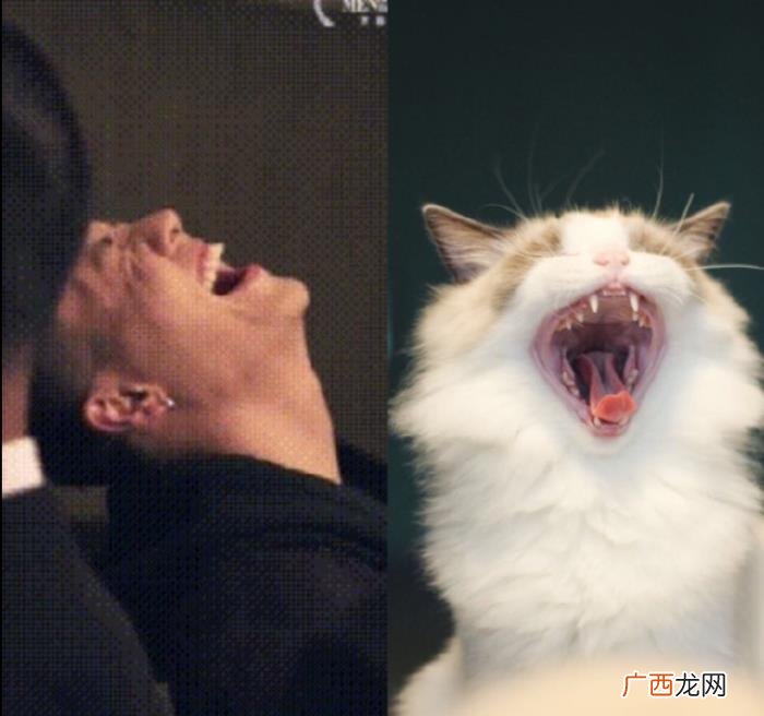 模仿陈伟霆，陈伟霆角色模仿引网友直呼契合度太高了