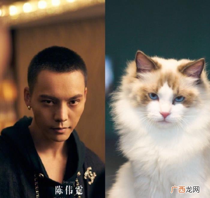 模仿陈伟霆，陈伟霆角色模仿引网友直呼契合度太高了