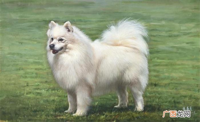 张嘉应油画,中国当代实力派全能油画家张嘉应-收藏家们的最爱