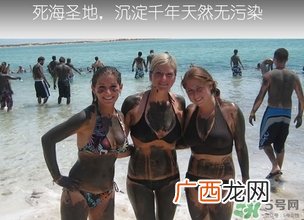 pure body naturals死海泥面膜怎么样？