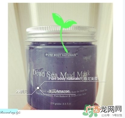 pure body naturals死海泥面膜怎么样？