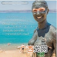 pure body naturals死海泥面膜怎么样？